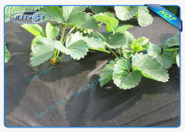 물 투과할 수 있는 정원 천 농업 비 우븐 커버 잡초 반응 억제제 얇은막