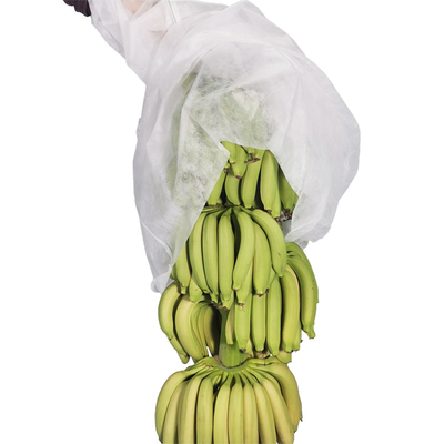 17 그램 72 센티미터 200 미터 농림부 비 우븐 커버 PP 바나나 가방