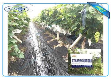지상 덮음 식물 부대로 농업 지역을 위한 반대로 UV PP 비 길쌈된 조경 직물