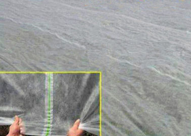 농업 식물 덮개를 위한 투명한 스펀 본드 비 길쌈된 조경 직물