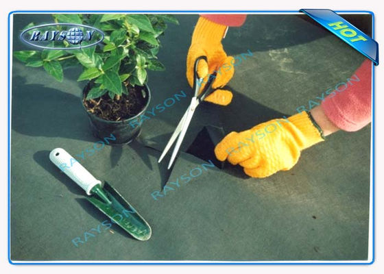 검정색에서 농업 비 우븐 커버 부직포가 착색시킨 3% UV 보호 10년 보장