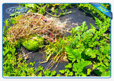 엔바이로 잡초 블록 천 반대 UV 농업 비 우븐 직물 커버