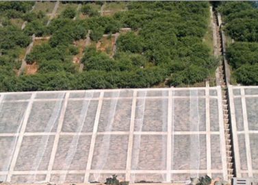 농업 식물 덮개를 위한 투명한 스펀 본드 비 길쌈된 조경 직물