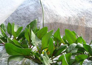 눈물 농업과 조경 기업을 위한 저항하는 회전된 접착된 비 길쌈된 잡초 방제 직물